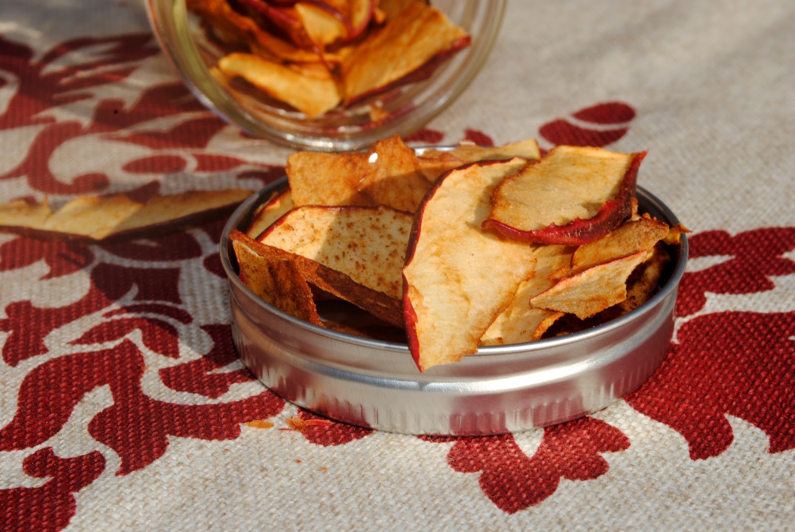 Homemade Dried Apple Chips Fit Foodie Finds
