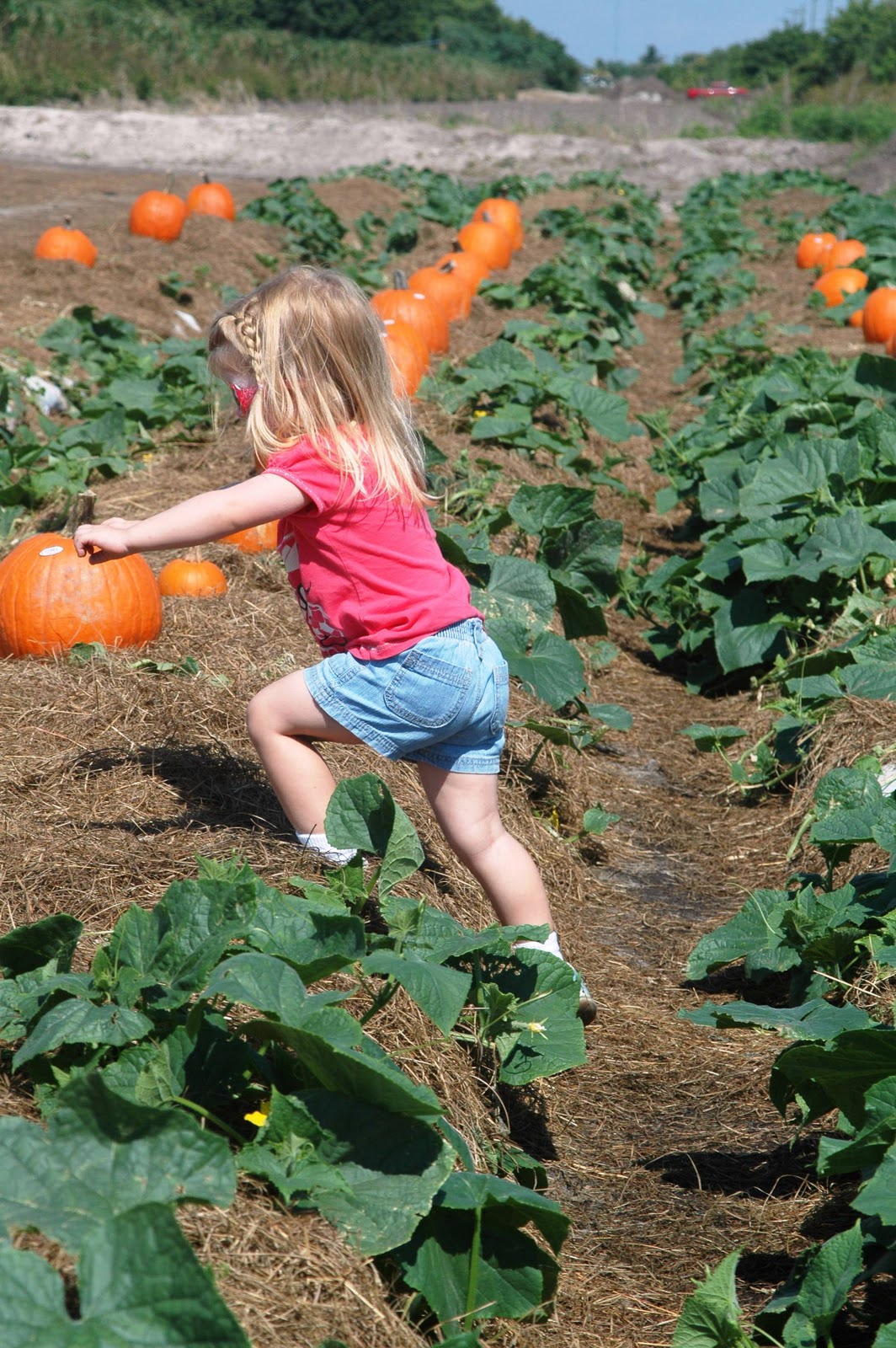 Keeping up with Kids Bedner's Farm Fresh Market, Strawberry UPick and