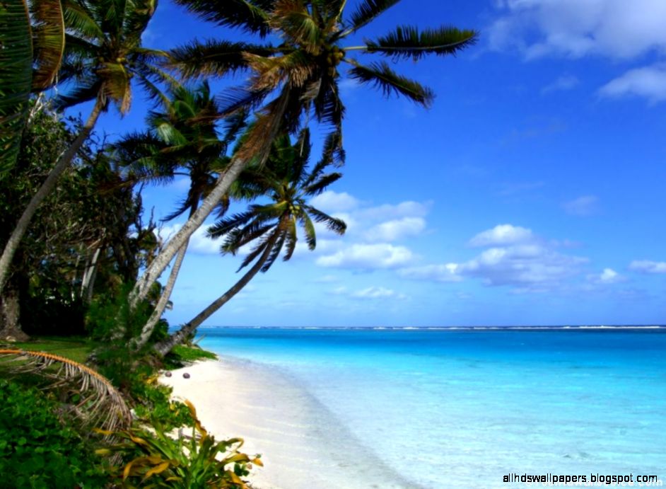 Hawaiian Palm Trees Beaches Hawaiian Palm Trees Beaches