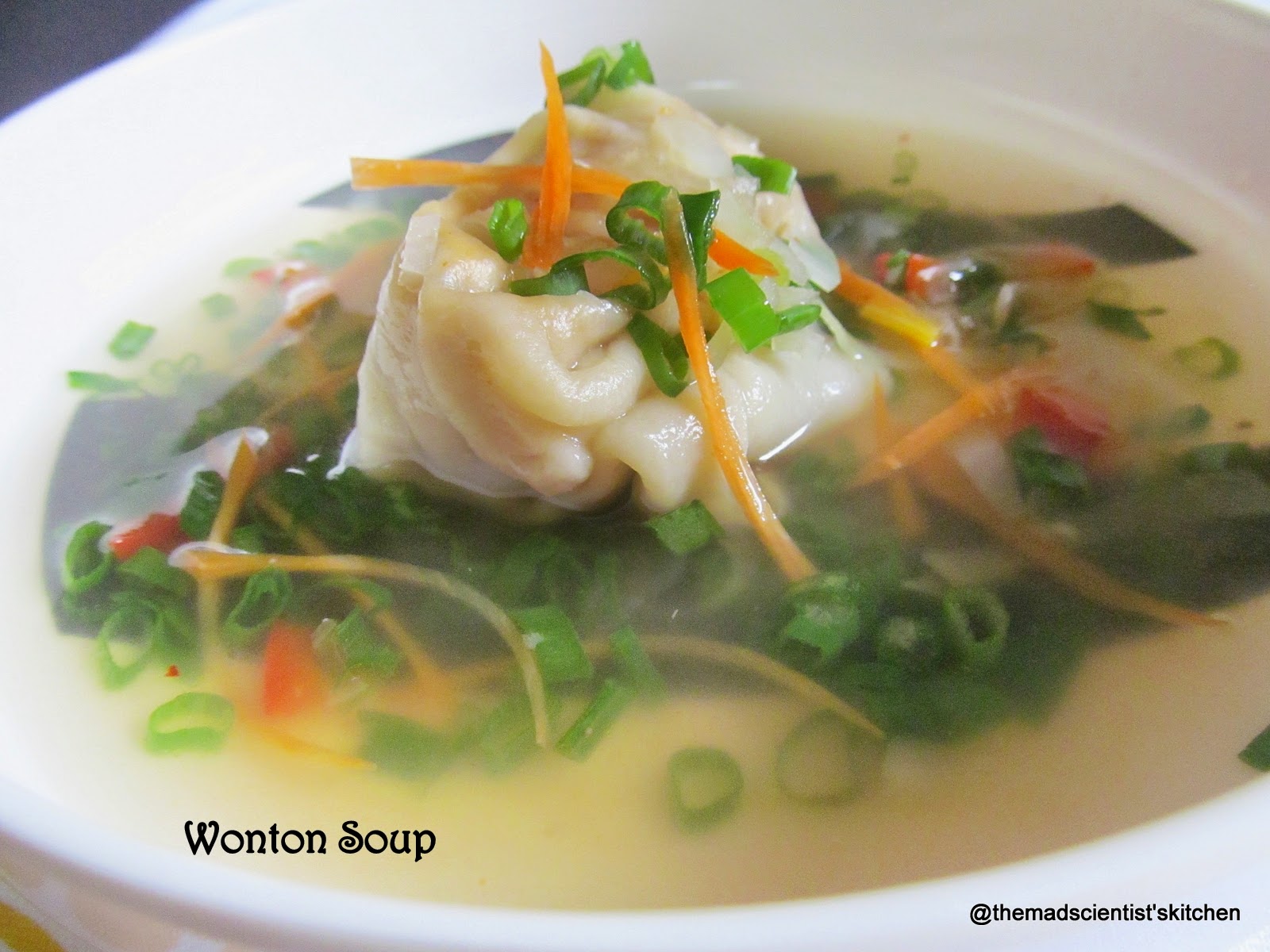 Vegetarian Wonton Soup The Mad Scientists Kitchen