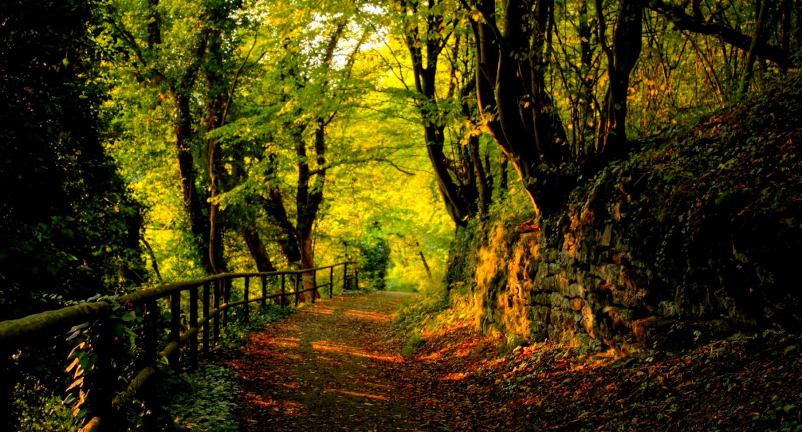 nature desktop wallpaper nature desktop wallpaper