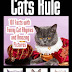 Cats Rule - Free Kindle Non-Fiction
