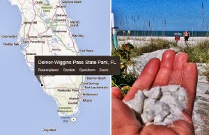 Der Delnor-Wiggins zeigt sich mit einem weißem Strand und ein Paradies für Vögel