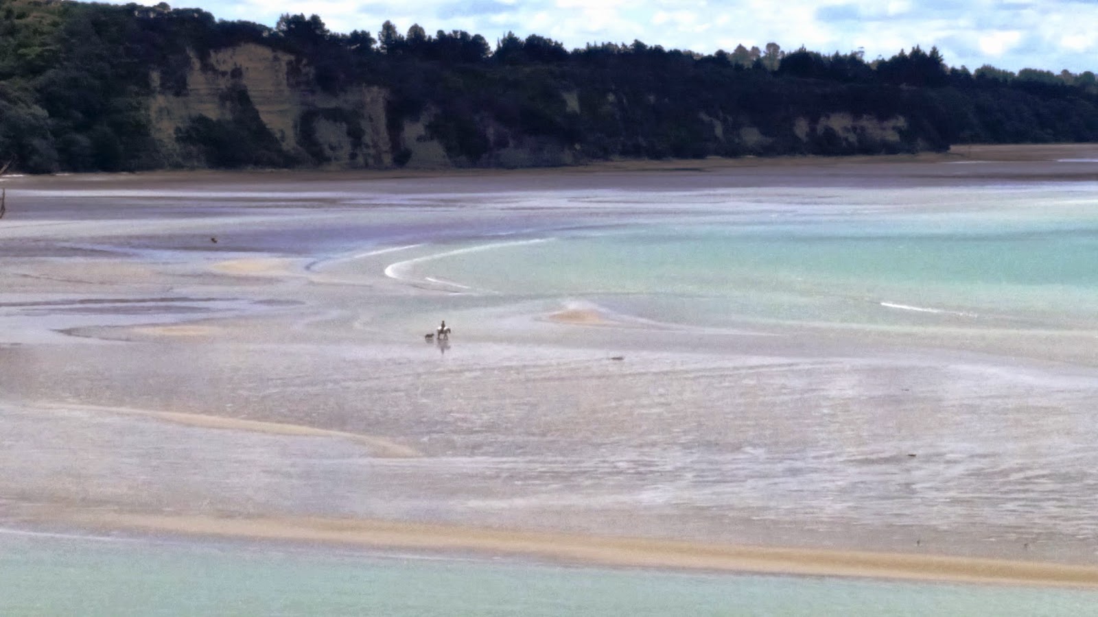 The Webers Take New Zealand We went to a NUDE BEACH this weekend!