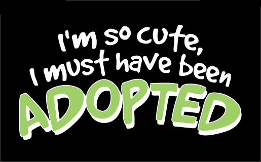 What it means to Be Adopted ~ AllINFORMATIONZ