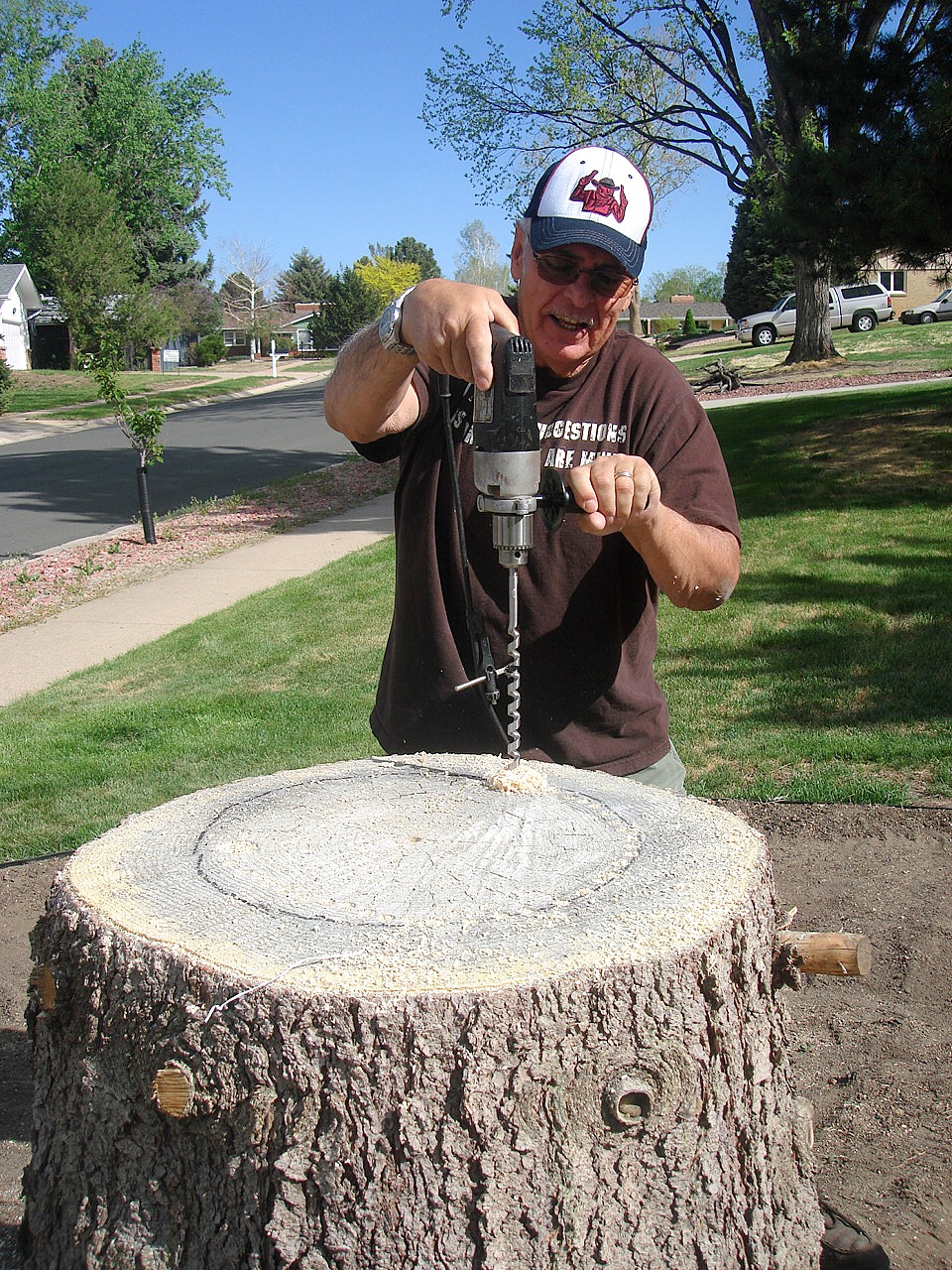 Louise Sanchez / Herbs Crafts Gifts How we hollowed out a stump