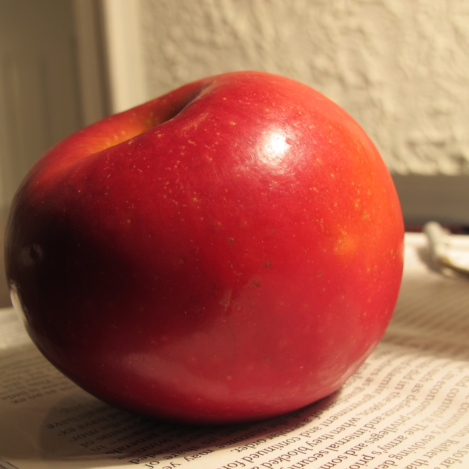 cook to run Rome Apple