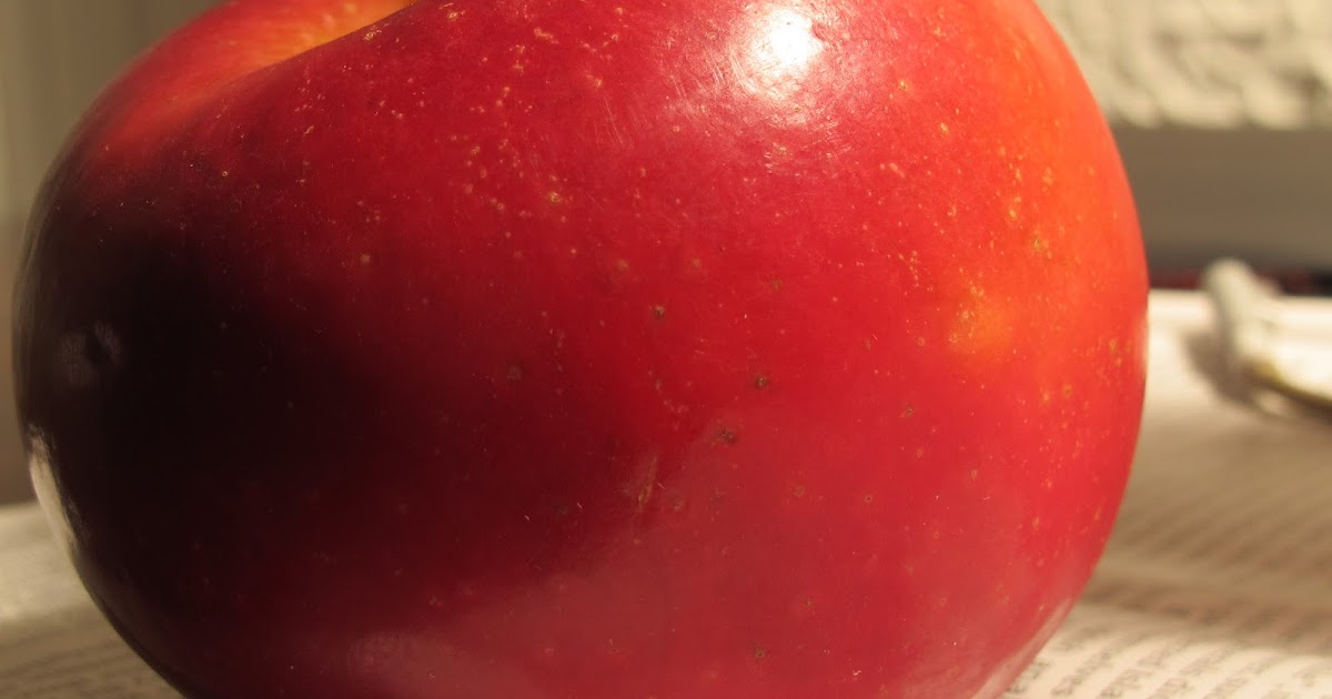 cook to run Rome Apple