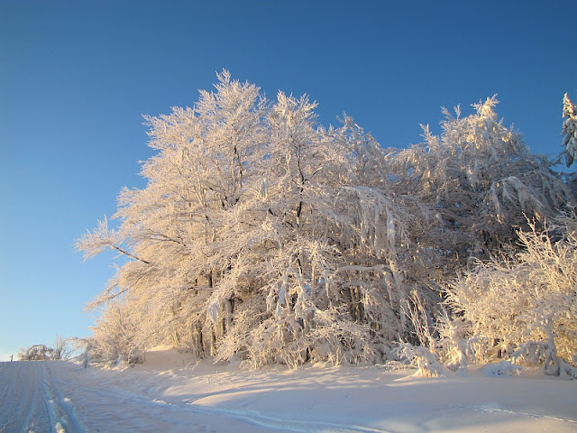 Zimowy poranek na Soszowie Wielkim [www.gorskiewedrowki.blogspot.com]