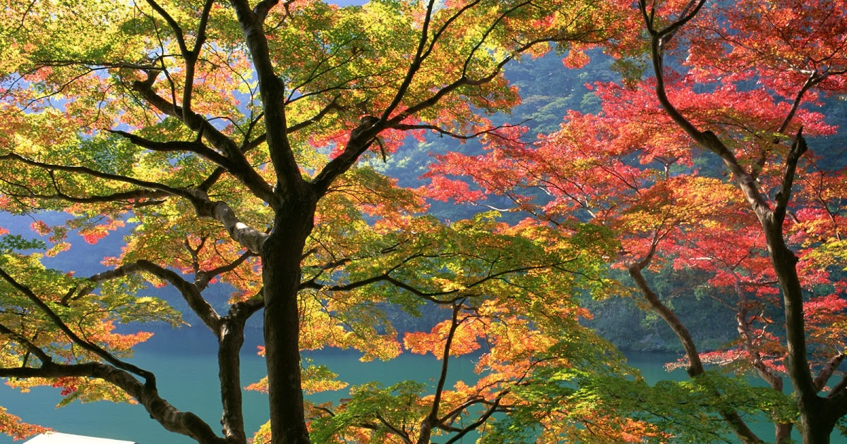 Download Free Japanese Nature Wallpapers | Most beautiful places in the