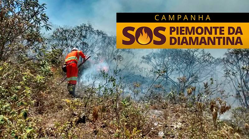 Denuncias de Incêndios 08000 71 1400