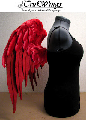 Danielle Hurley TruWings Red Angel Wings Costume