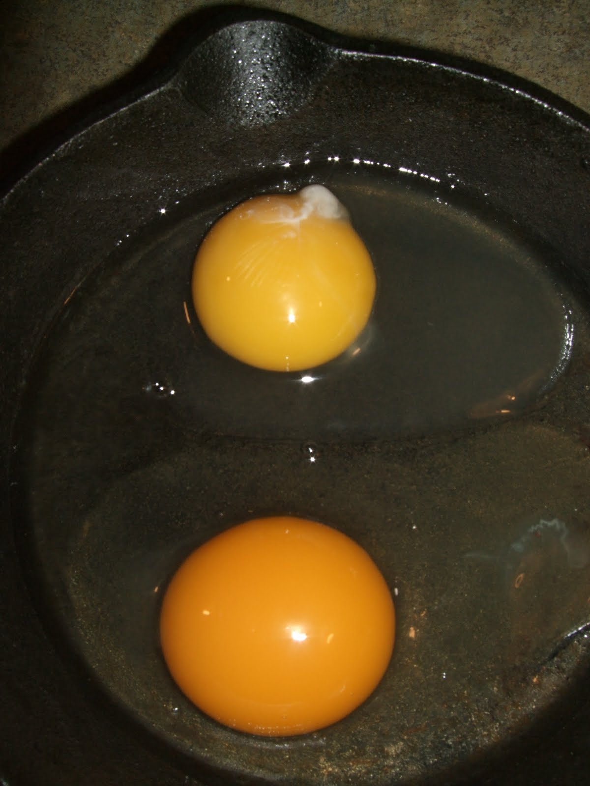 Pam's Backyard Chickens Backyard Chicken Eggs Better All Around