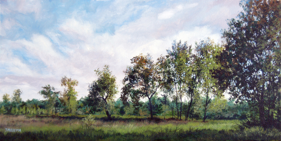Blackwell+forest+preserve+camping