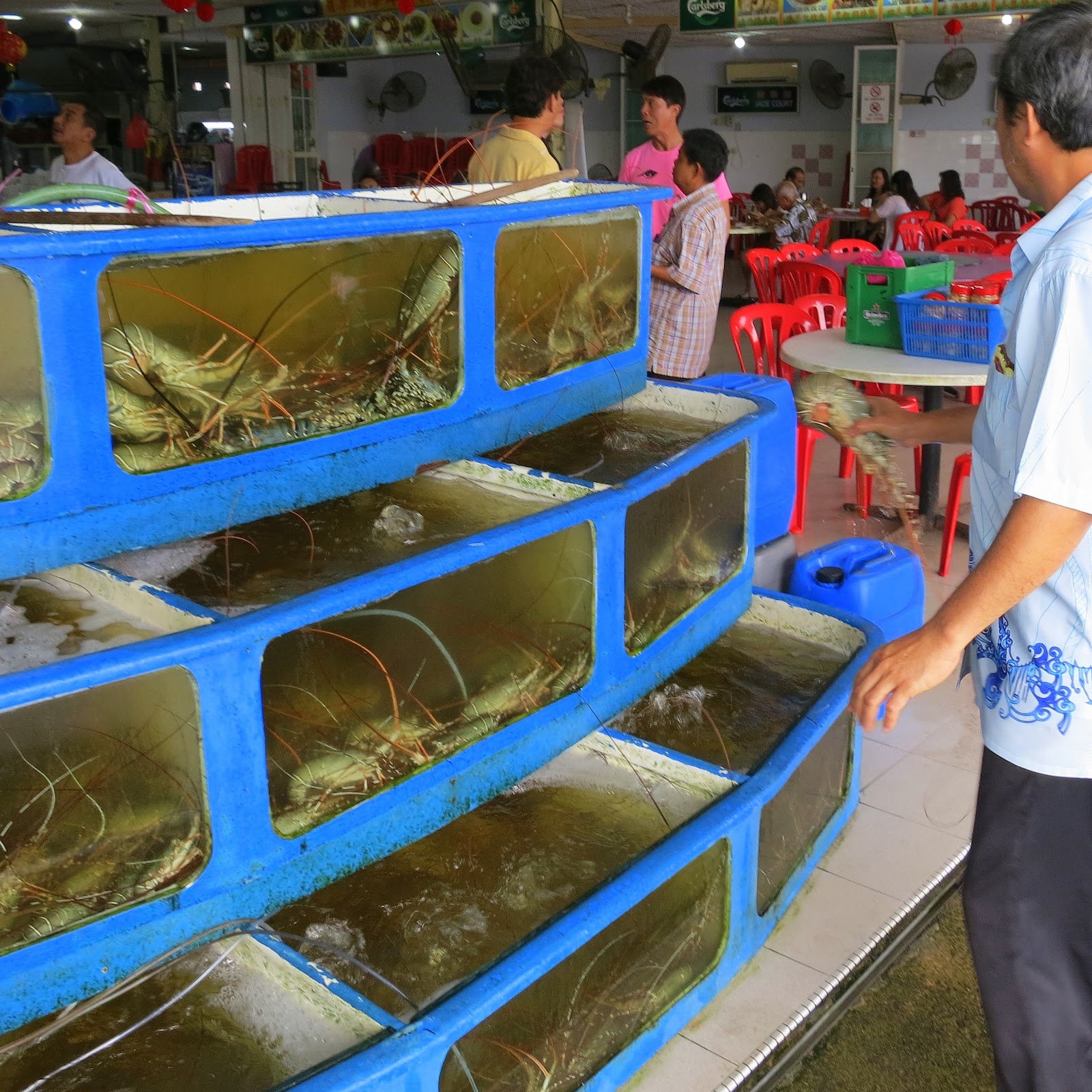 Lobsters @ Jade Garden Seafood 翡翠园海鲜酒家 in Sungai Rengit, Pengerang - Sungai Rengit Kampung Sungai Rengit Pengerang Johor