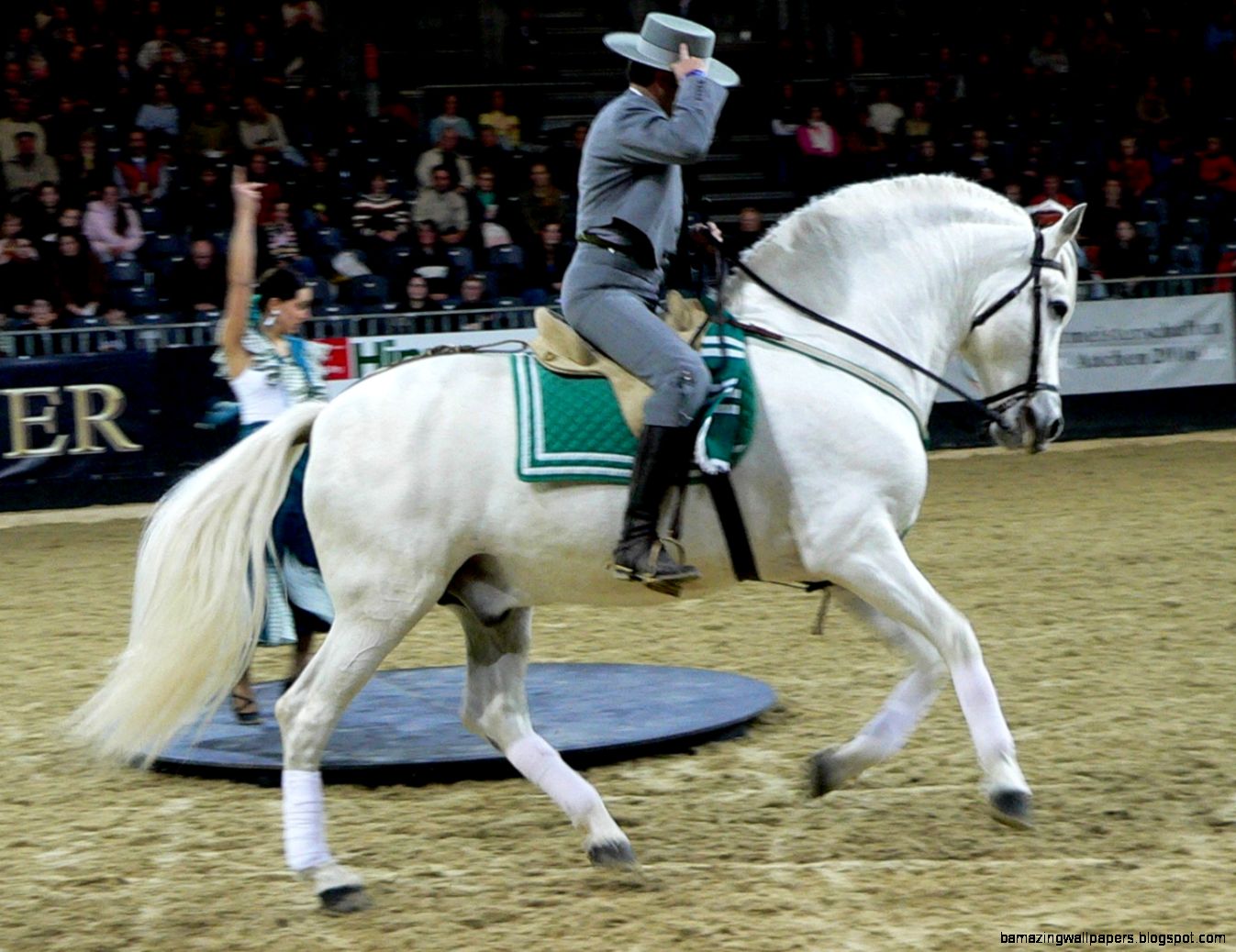 Gray horse Wikipedia the free encyclopedia Gray horse Wikipedia the free encyclopedia