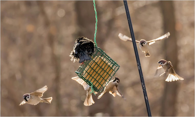 emerging photographers, Best Photo of the Day in Emphoka by Rick Smotherman, https://flic.kr/p/qboZY3 emerging photographers, Best Photo of the Day in Emphoka by Rick Smotherman, https://flic.kr/p/qboZY3