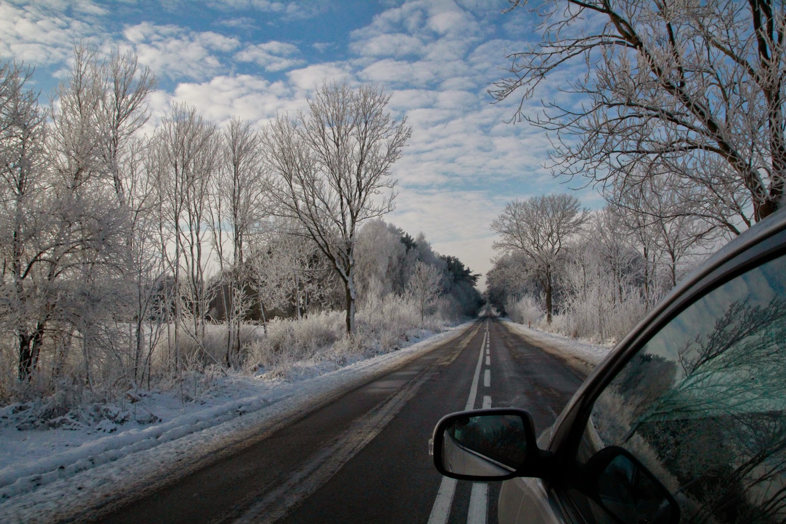 Gwiazdka w Puszczy - Ania w Podróży