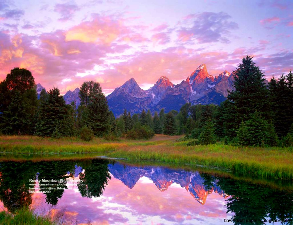 Free Screen Savers and Wallpaper Landscape photography of Wild Free Screen Savers and Wallpaper Landscape photography of Wild