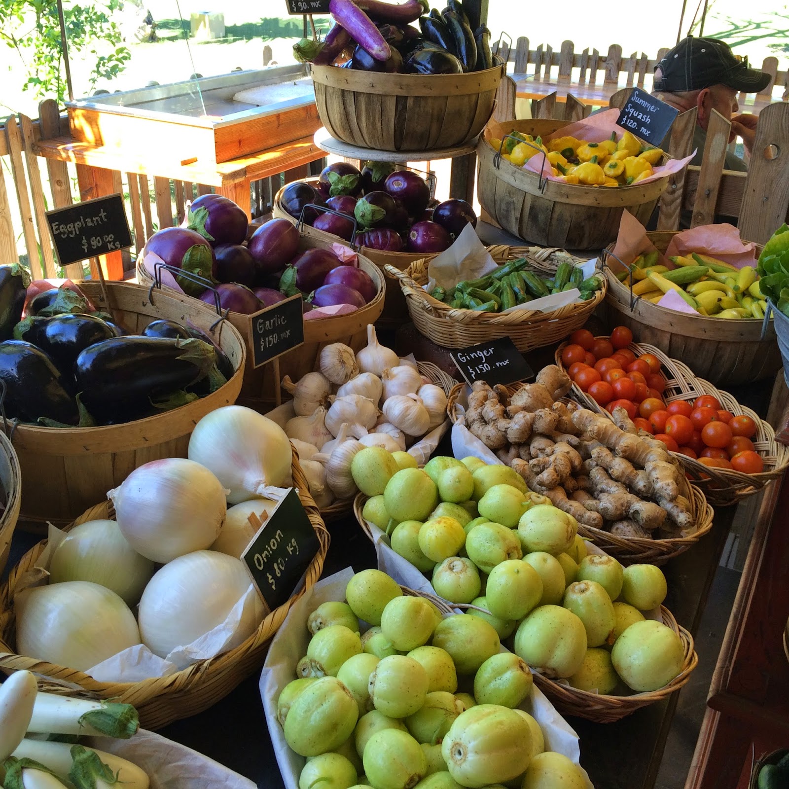 san josé del cabo flora's field kitchen.