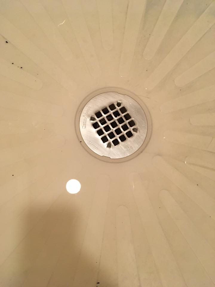 Help, my shower drain is clogged! No Chemicals Required! One Brown Mom