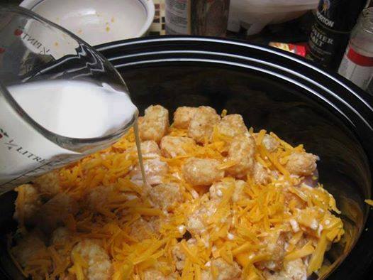 tater tot casserole with cream of chicken and celery soup tater tot casserole with cream of chicken and celery soup