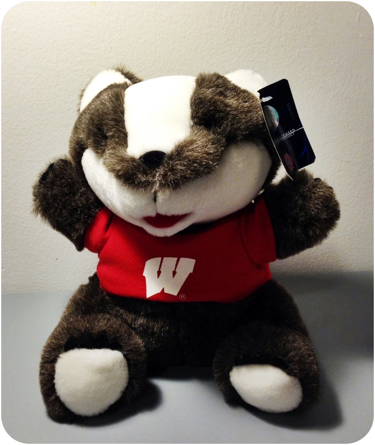 trelabela I made a stuffed animal chalk bag!