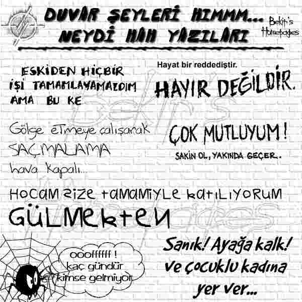 Duvar Resmi