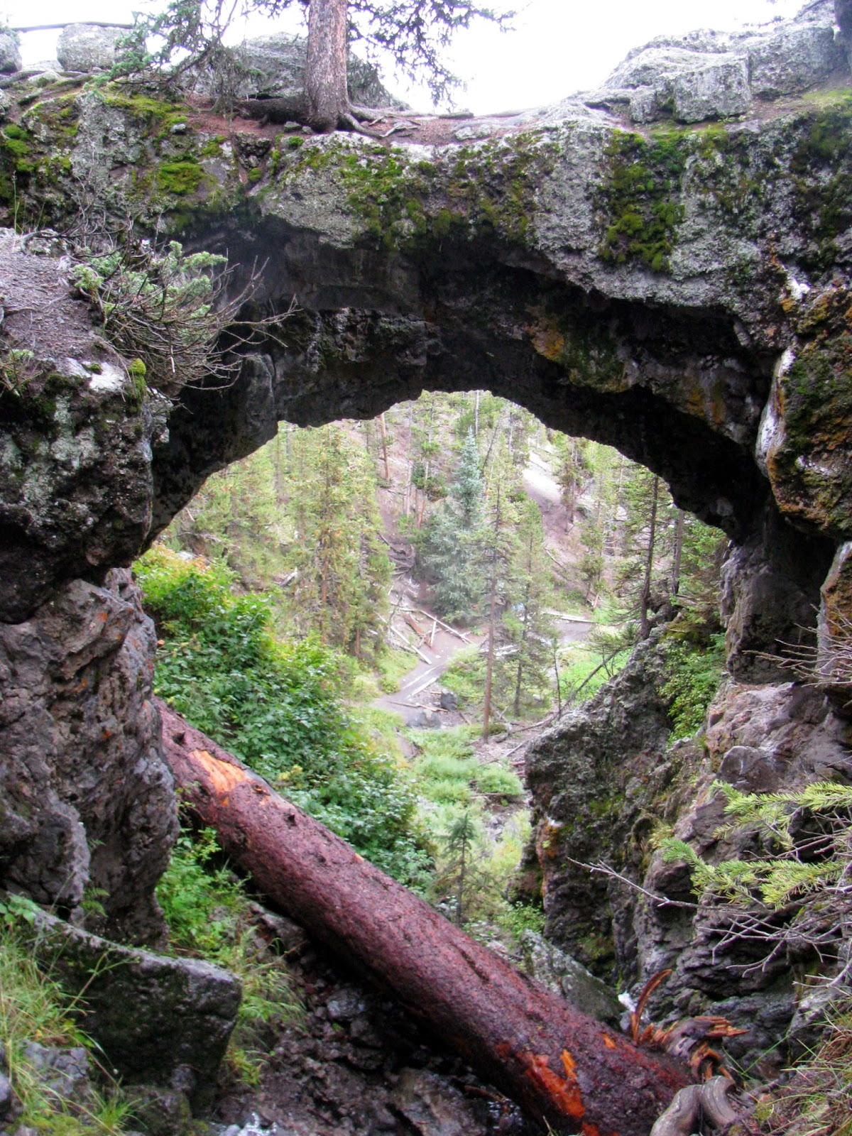Natural Bridge Yellowstone National Park
