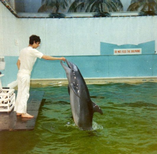Uk Dolphinaria Queen S Motel Dolphinarium Margate 1969
