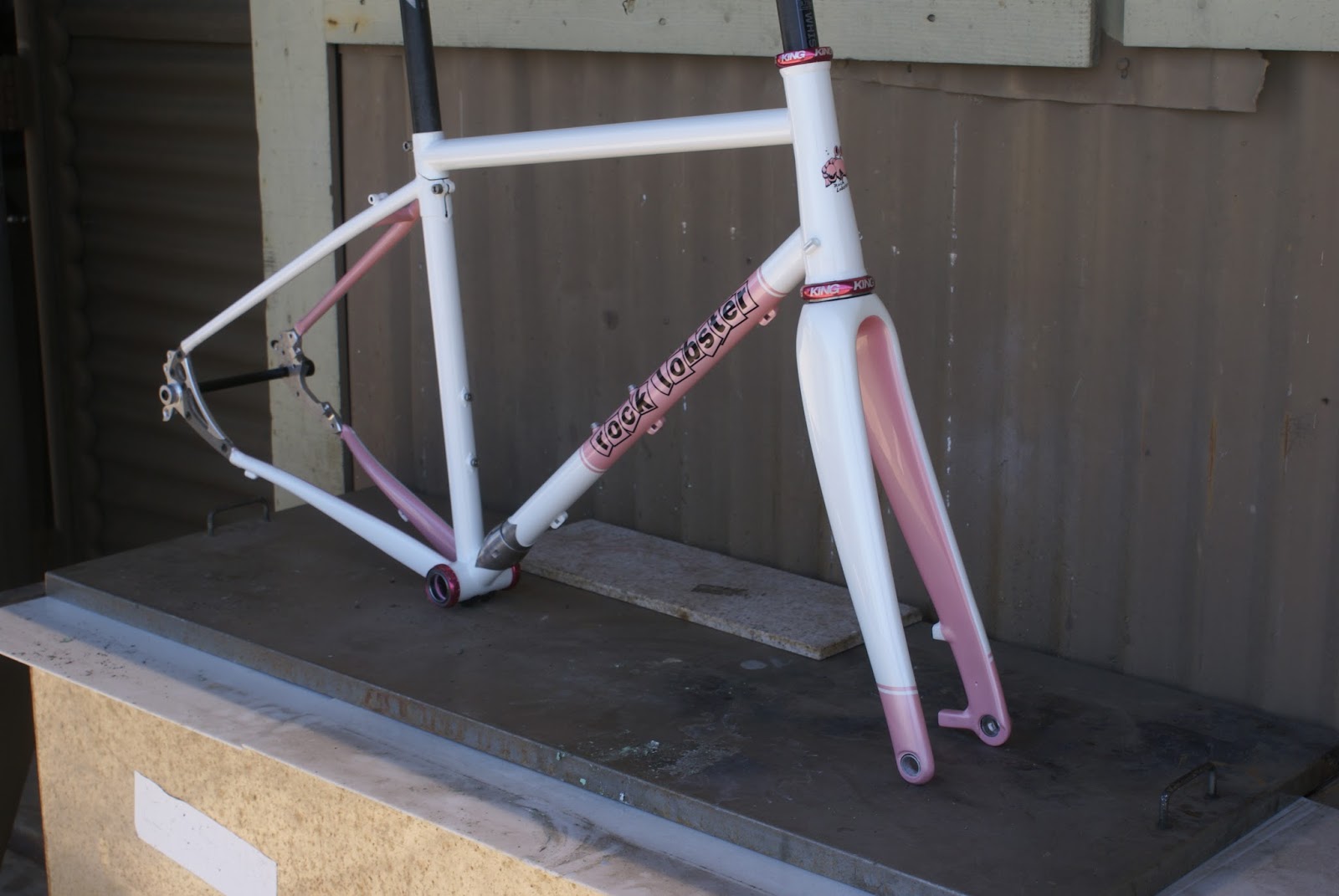 what's up in Santa Cruz A pair of interesting travel frames