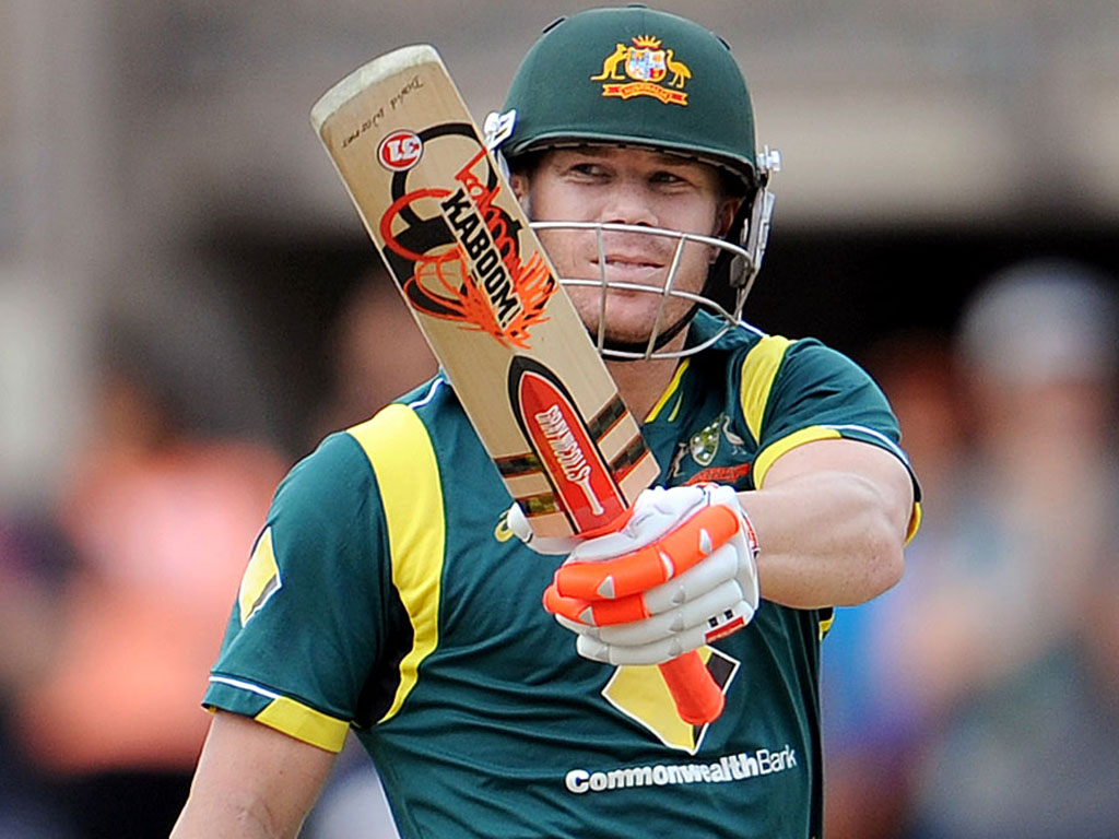 David Warner Net Worth