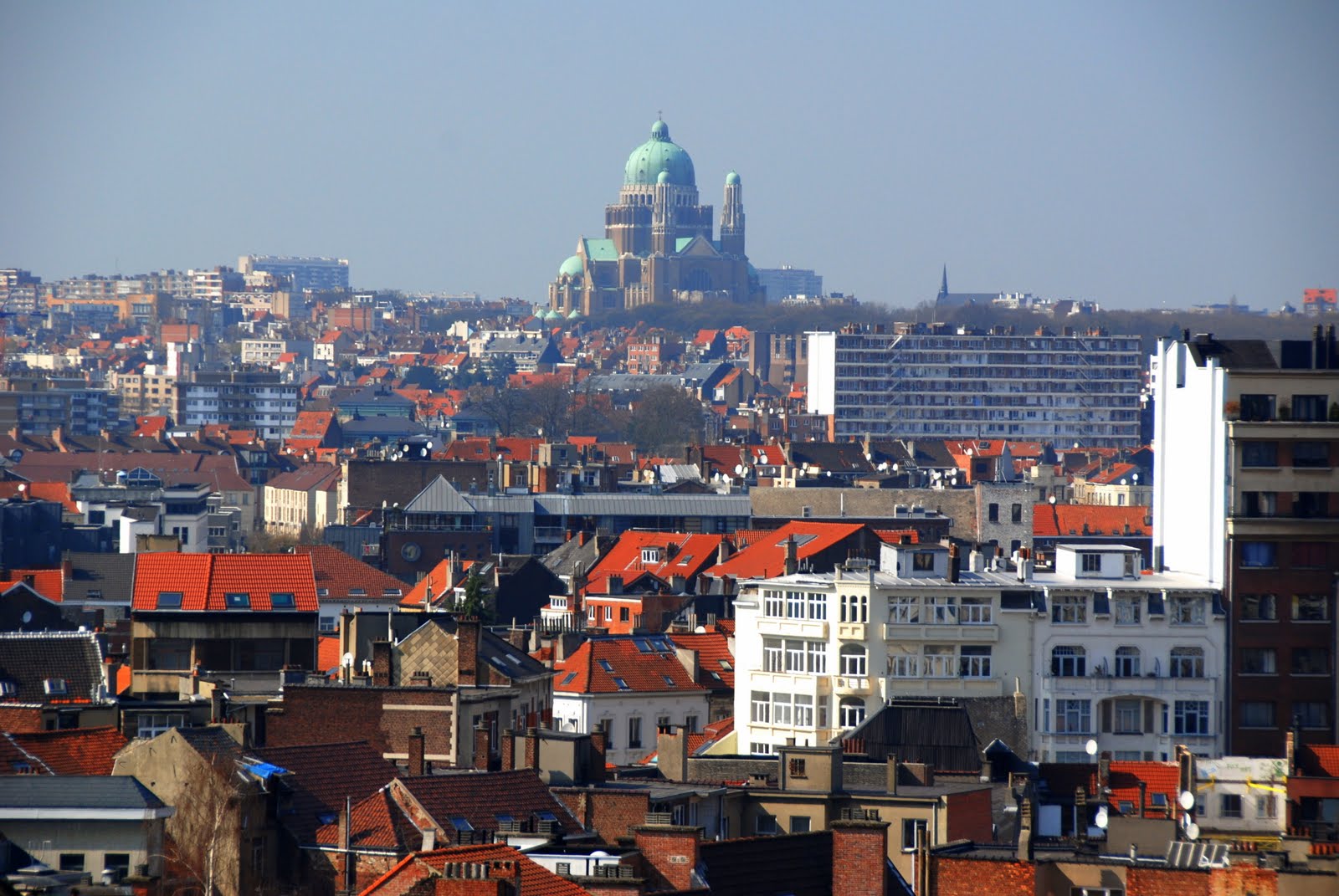 [Image: DSC_7325.JPG]