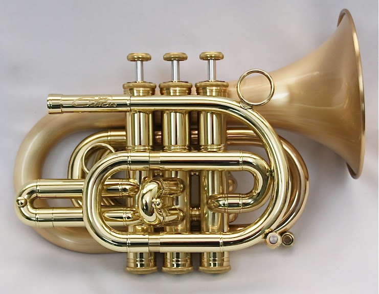 jazztruth: My Brand New Pocket Trumpet
