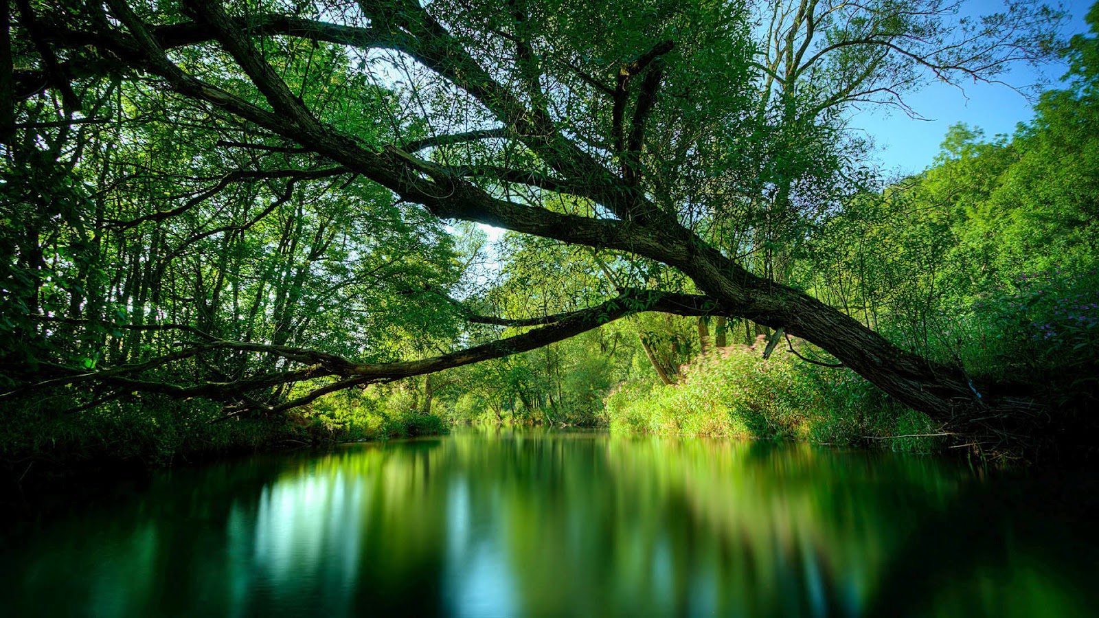 http://3.bp.blogspot.com/-PRtxQZBW74E/T0TJ4nnf_FI/AAAAAAAAEg4/-BrrrMt_1wc/s1600/Green-River-Wallpaper-1.jpg
