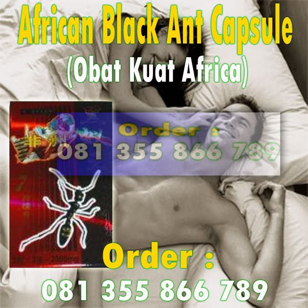 African%2BBlack%2BAnt%2BCapsule.jpg