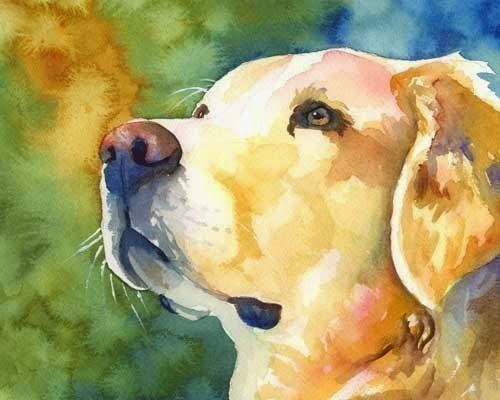 Samoyed Art Print Signed by Artist Ron Krajewski Painting 8x10