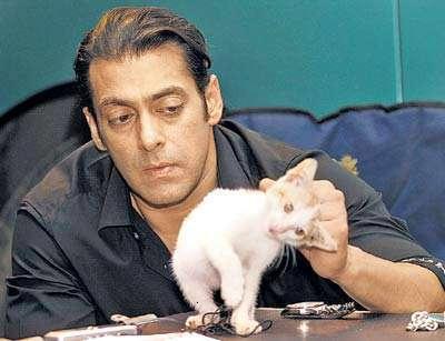 ~~SaLmAn kHaN playing with Cat!!~~ Cat+abuse