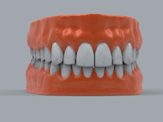 Health Care: Human Teeth Anatomy Pics