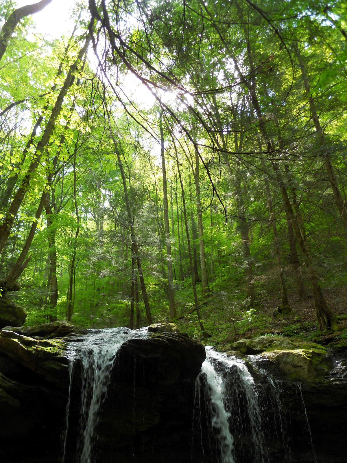 Go on the Cheap Guided Hike in Frozen Head State Park