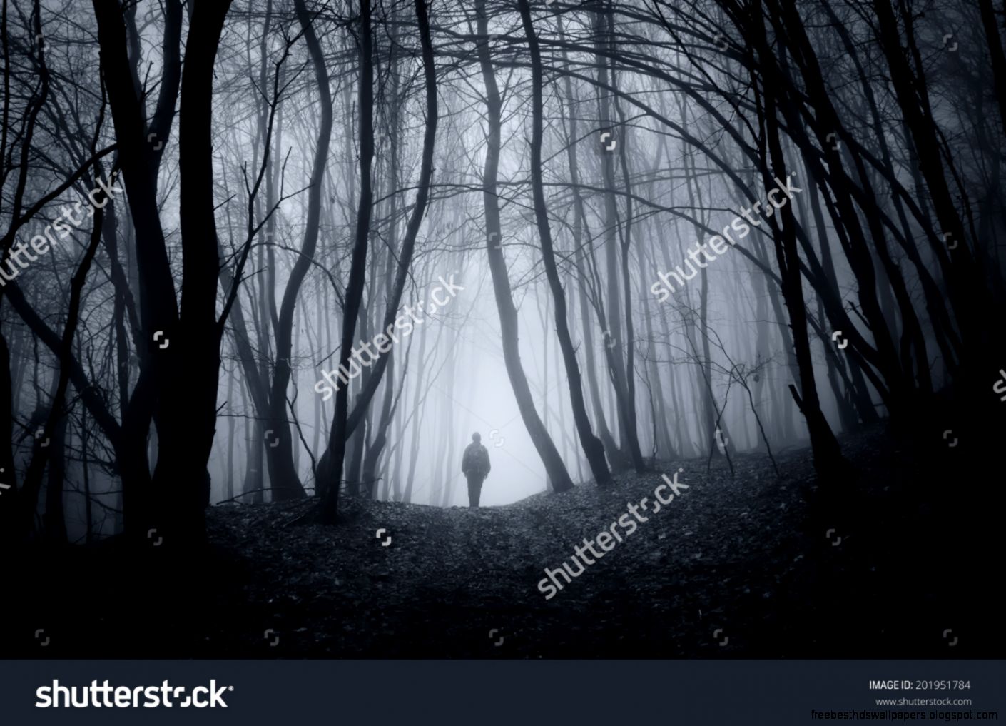 Man Walking On A Dark Path Through A Spooky Forest Stock Photo Man Walking On A Dark Path Through A Spooky Forest Stock Photo
