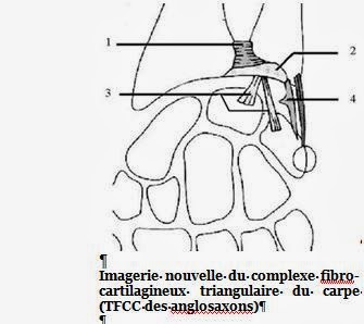 cicatrisation canal carpien