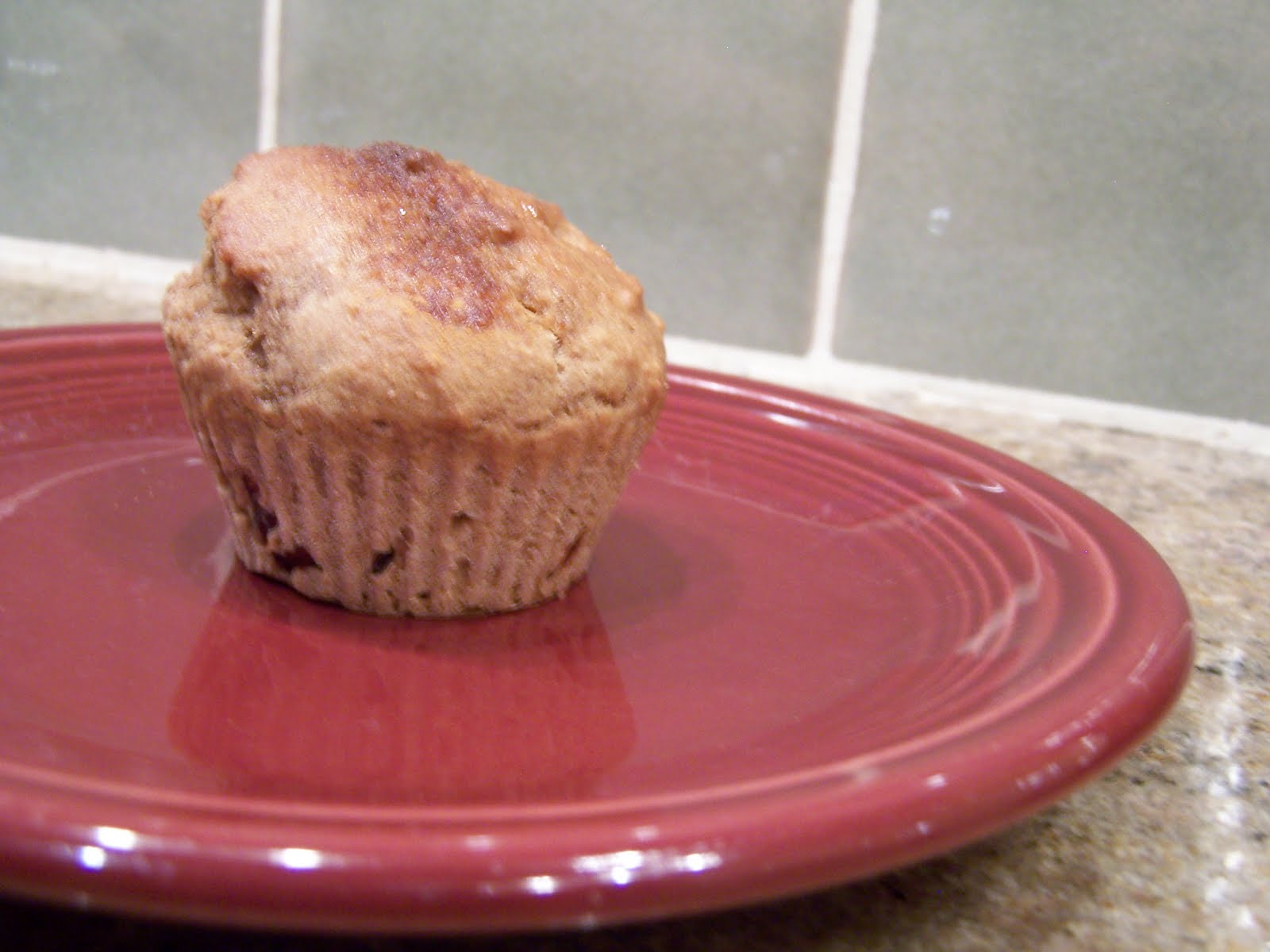 Applesauce cranberry muffins Treading Lightly