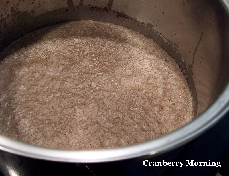 Cranberry Morning How to Make Homemade Vegan Soap