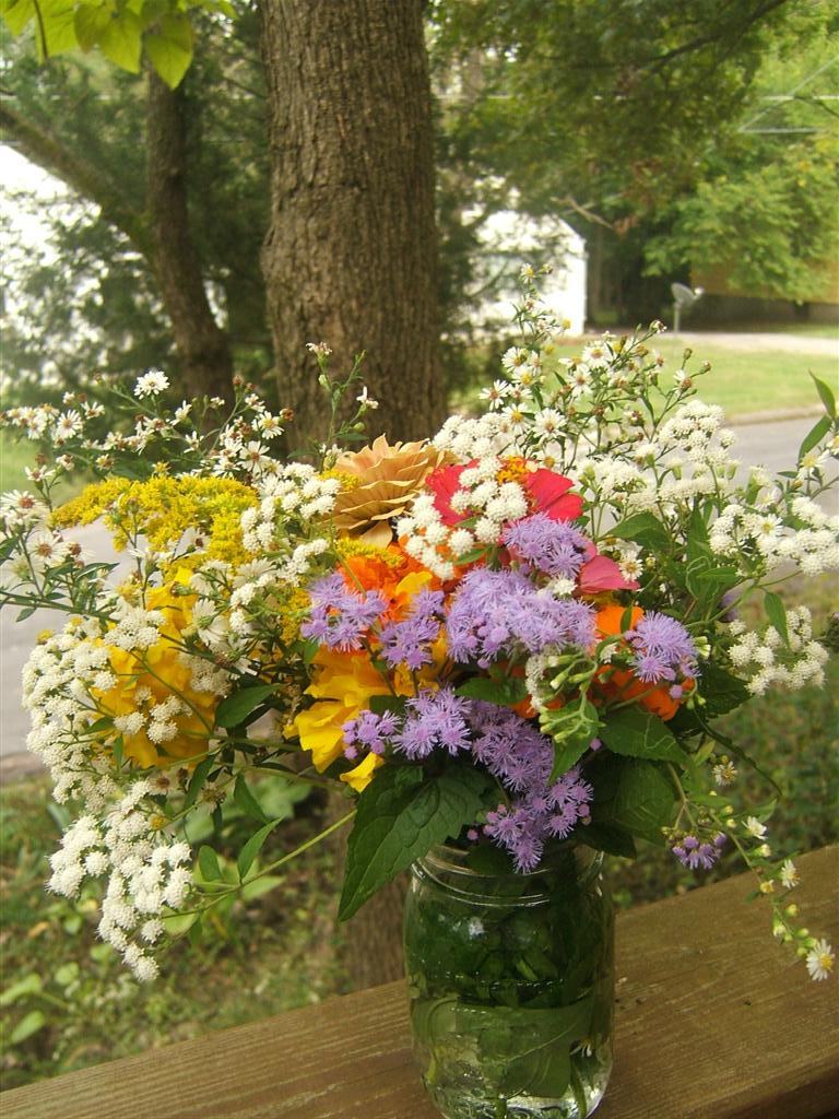 Ozark Highlands of Missouri: August 2011