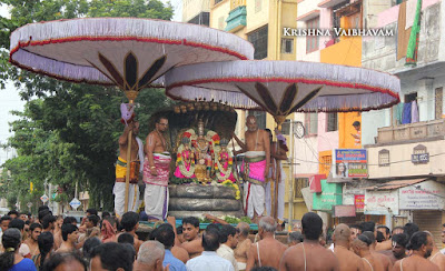 2015, Brahmotsavam, Narasimha Swamy, Parthasarathy Temple, Thiruvallikeni, Triplicane, Yoga Narasimhar, Sesha Vahanam