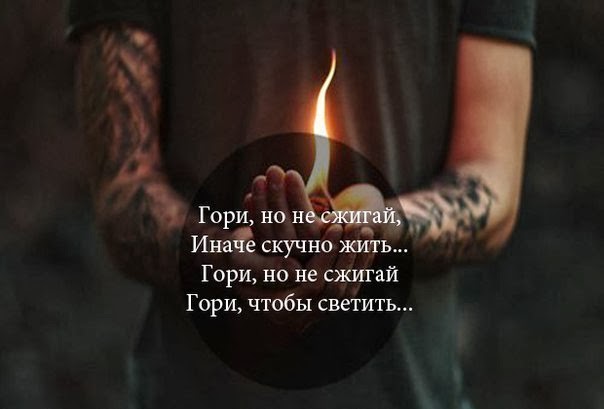 Ализе дива силк эффект что связать Ализе дива силк эффект что связать