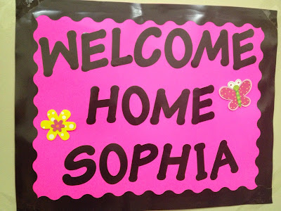 welcome baby sophia