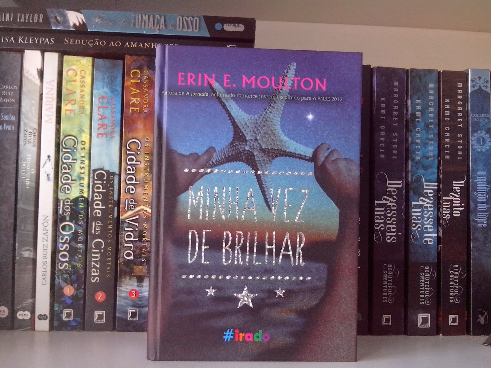 Amores e Livros: Minha vez de Brilhar – Erin E. Moulton