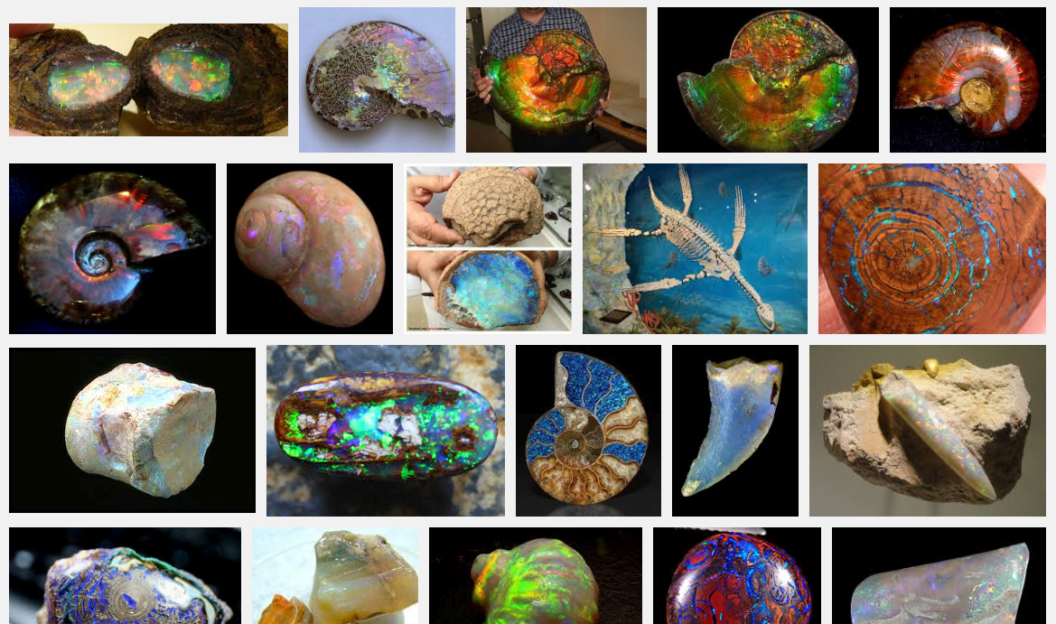 opalized fossils mining geology